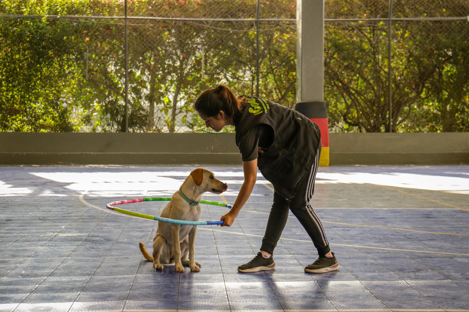 Kennels, Grooming and Day Care in the Philippines: Parasite Safety Checklist