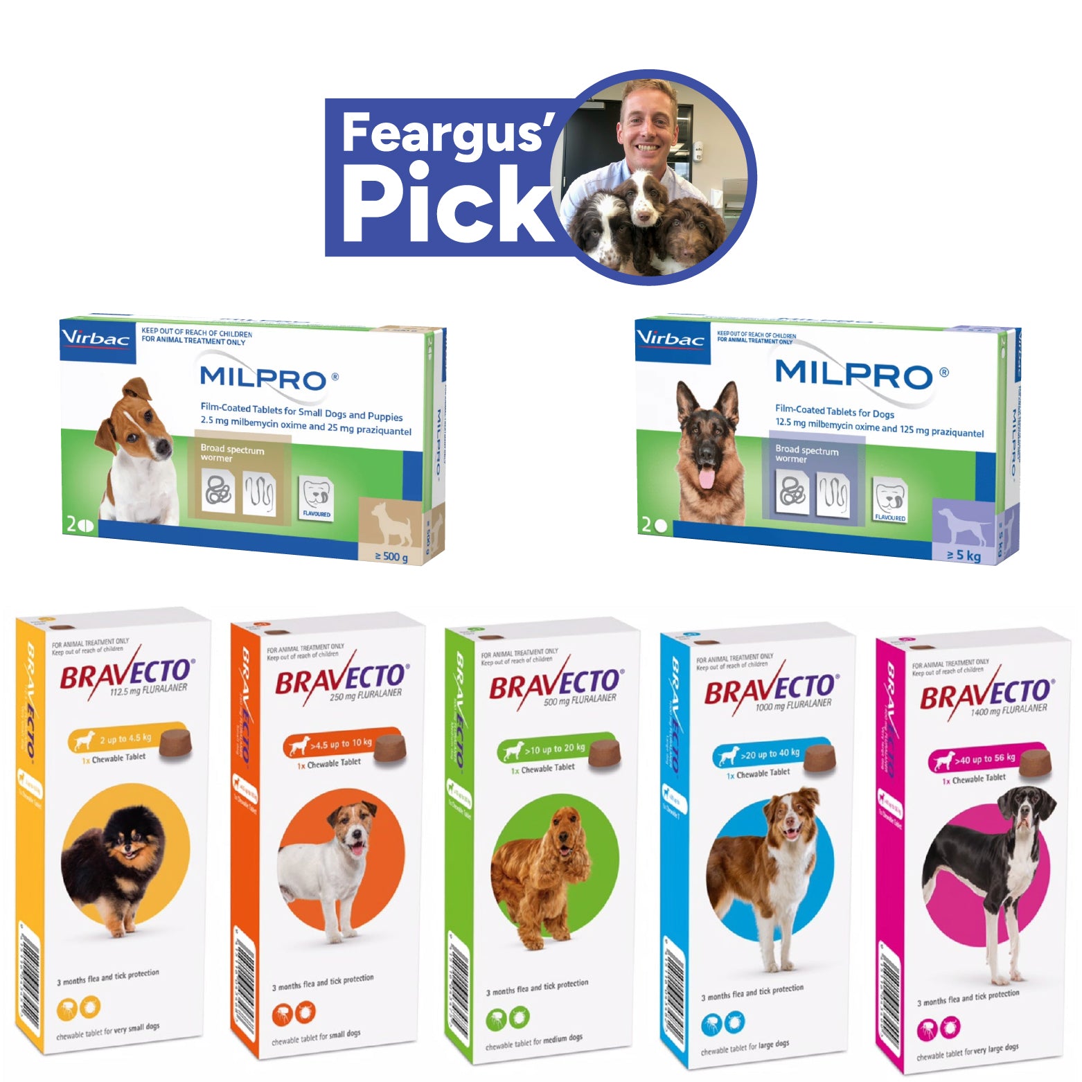 Adventure Dog 3-Month Protection Pack for Kiwi Dogs