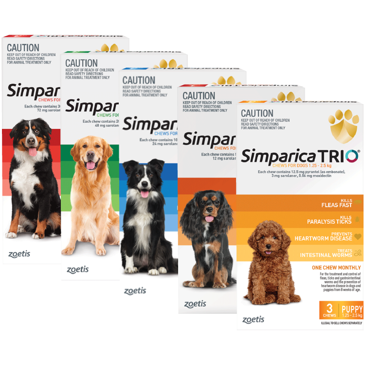 Simparica Trio® Chews for Dogs
