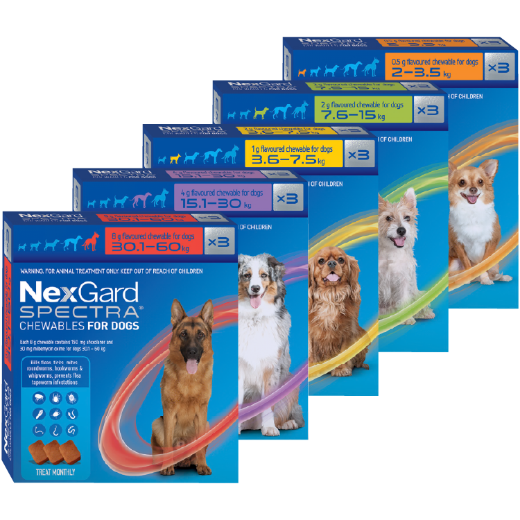 Nexgard Spectra® Chews for Dogs
