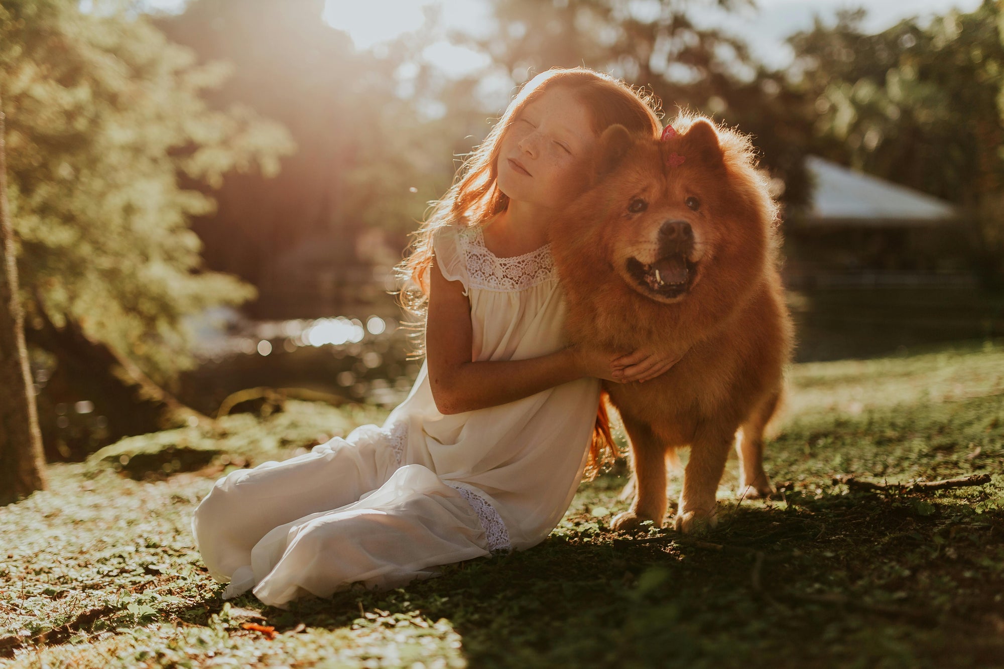School holidays with kids and pets in New Zealand: parasite tips