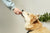 How often to use flea treatment on dogs