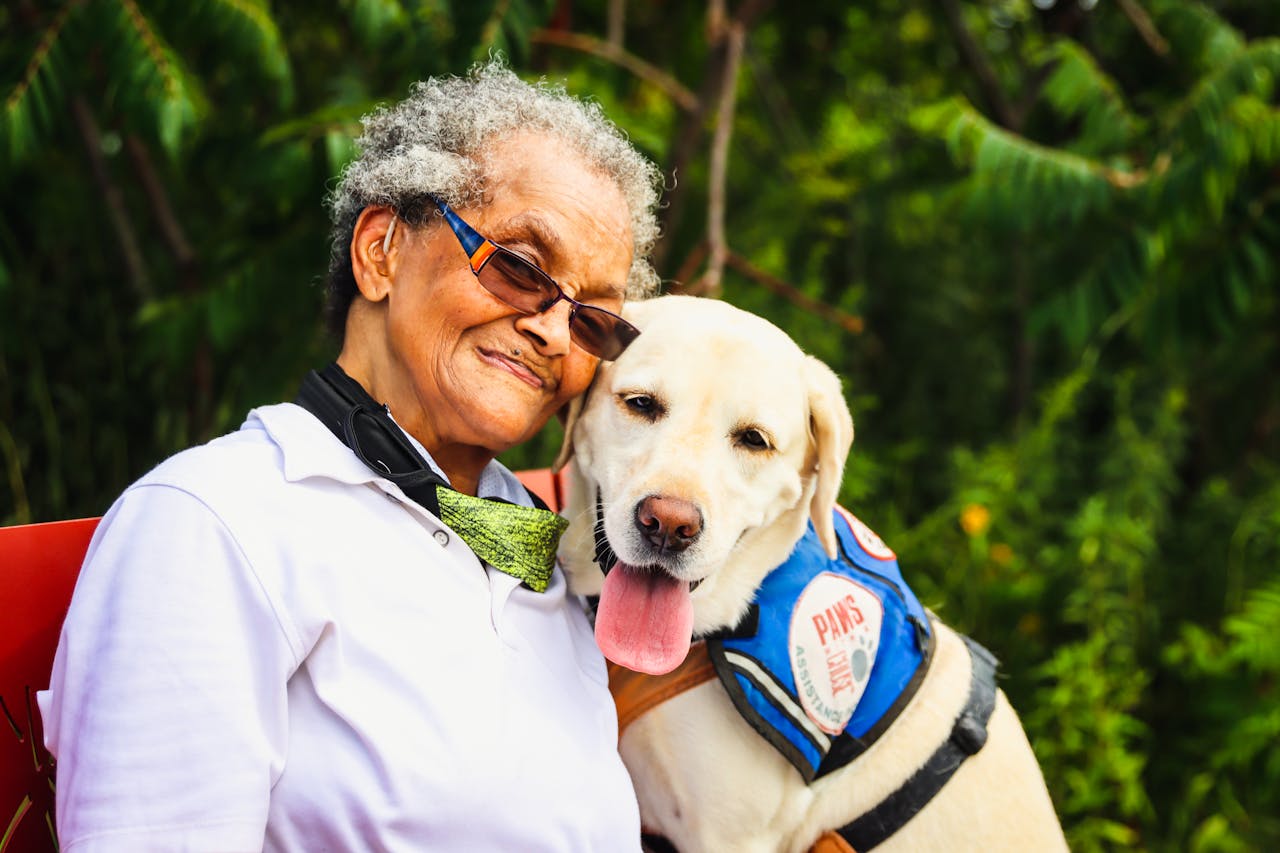 Flea control for retirees and older owners in New Zealand