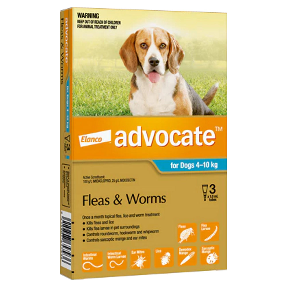 An orange-coloured 3-pack of Advocate flea and worm treatment for small dogs 4-10 kg, with a photo of a beagle.