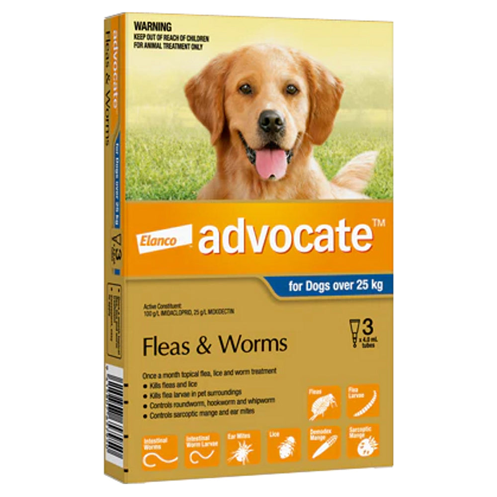 An orange-coloured 3-pack of Advocate flea and worm treatment for dogs over 25 kg, with a photo of a golden retriever.