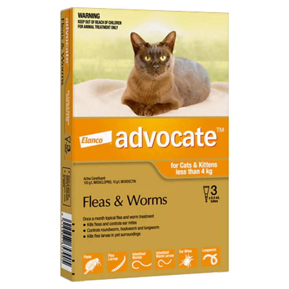 A gold-coloured 3-pack box of Advocate flea and worm treatment for small cats and kittens under 4 kg, showing a sleek brown cat.