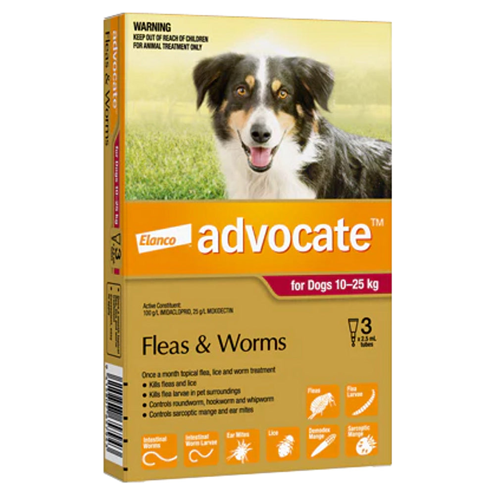 An orange-coloured 3-pack of Advocate flea and worm treatment for medium dogs 10-25 kg, showing a border collie.
