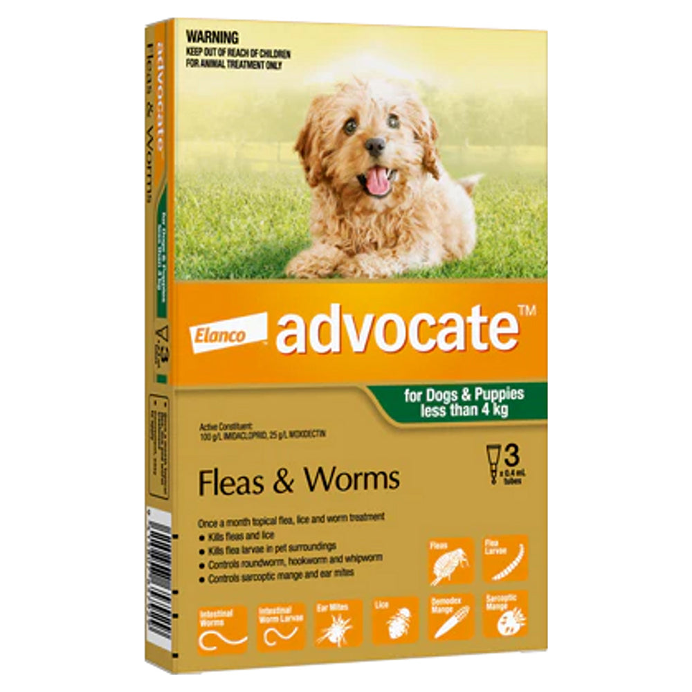An orange-coloured 3-pack of Advocate flea and worm treatment for puppies and dogs under 4 kg, with a photo of a fluffy puppy.