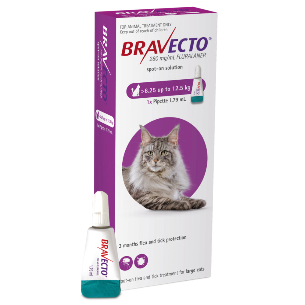 Bravecto® Spot-On for Cats