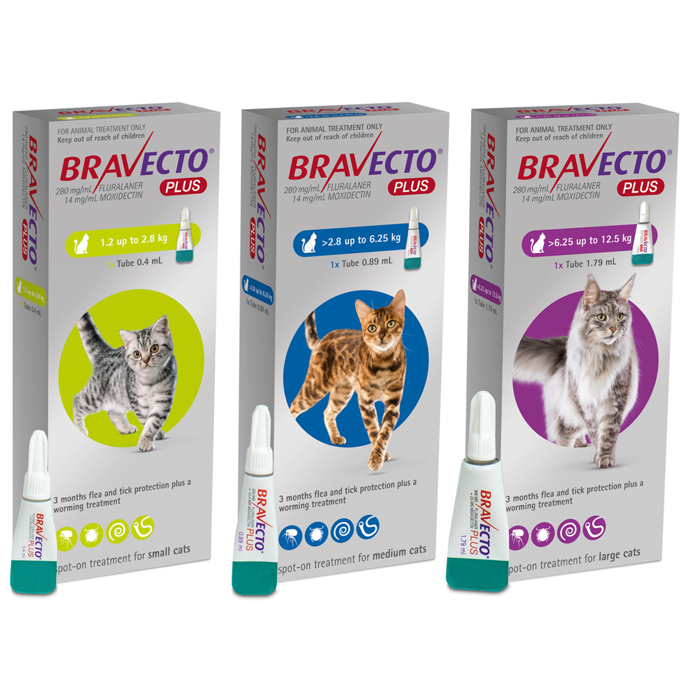 Bravecto Plus® Spot-On for Cats