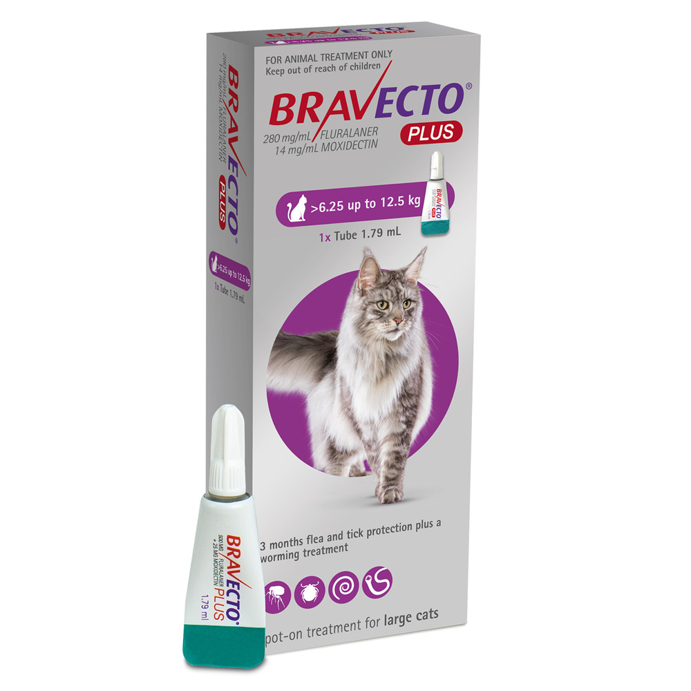 Bravecto Plus® Spot-On for Cats