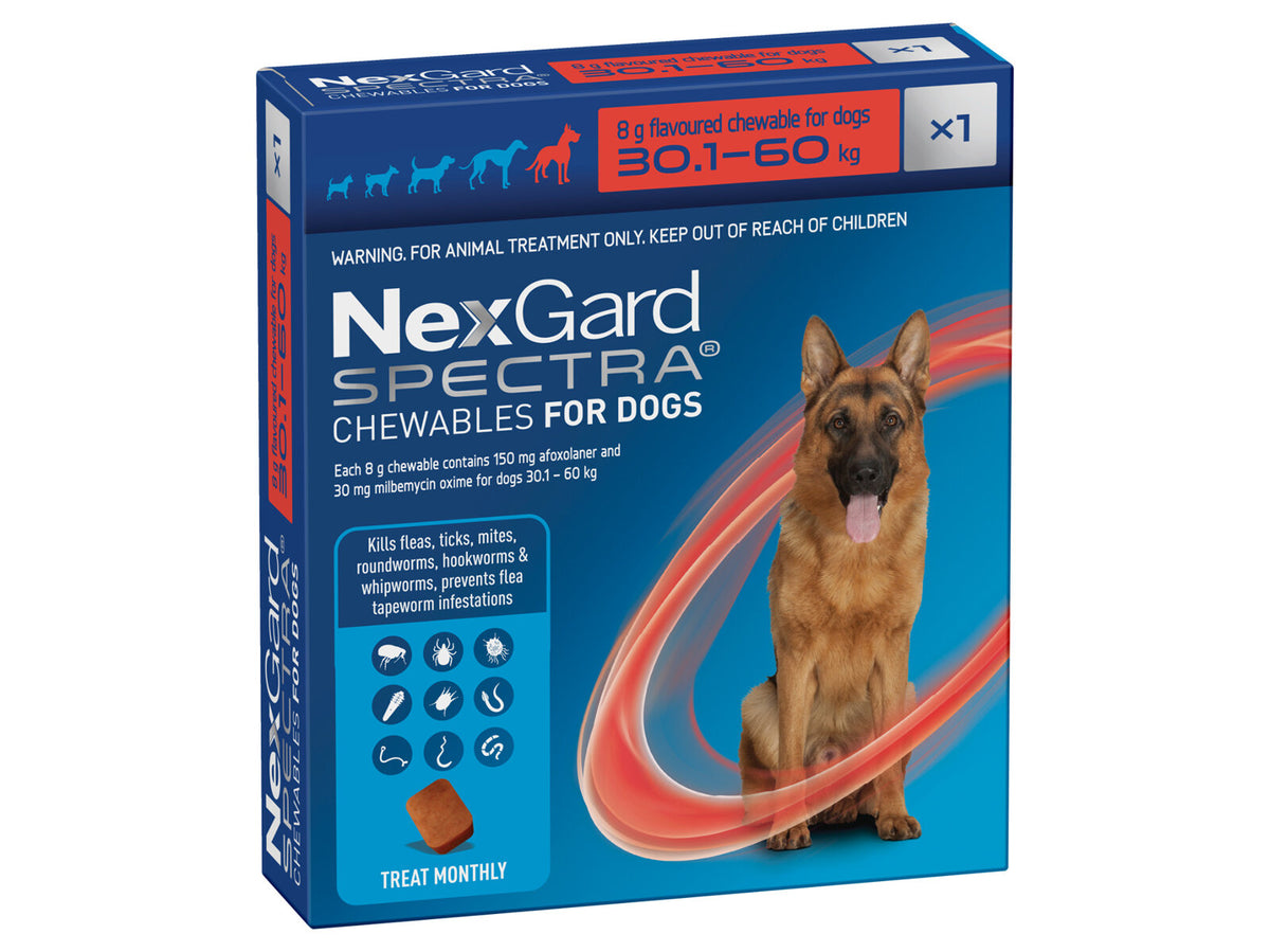 Nexgard Spectra® Chews for Dogs