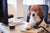 A cute dog sitting at a computer