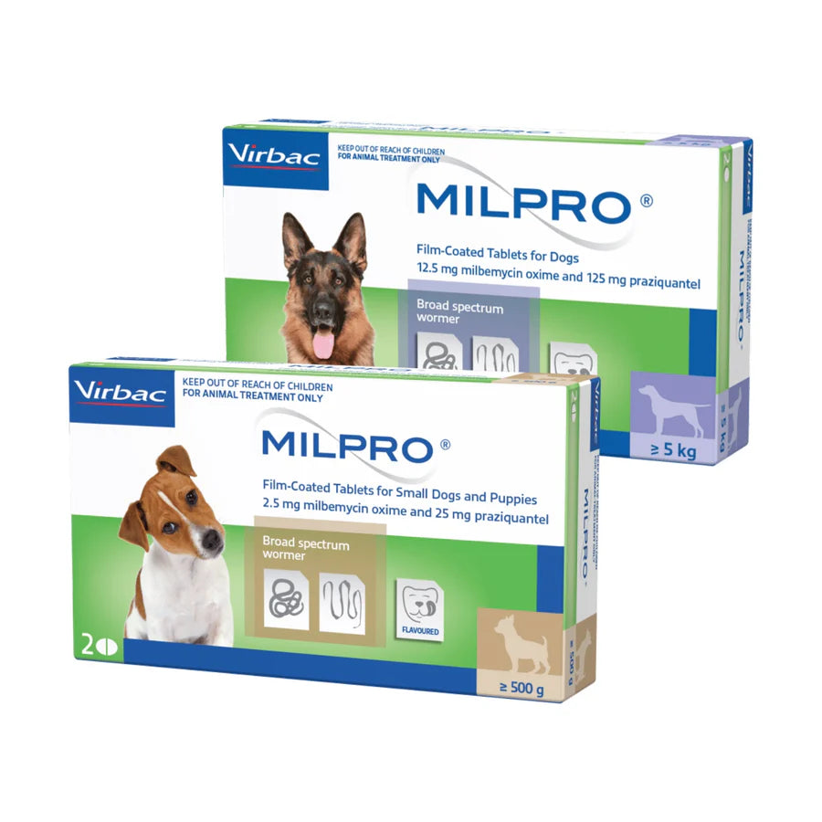 Milpro® All Wormer for Dogs (Flavoured Tablets)