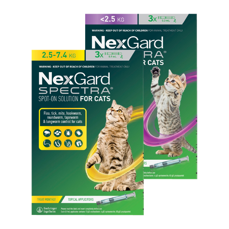 Nexgard Spectra® Spot-On for Cats
