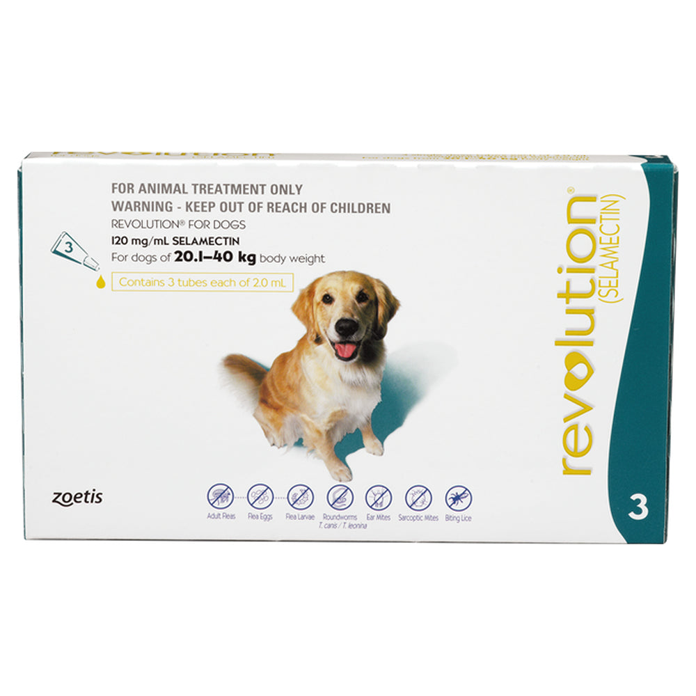 A white 3-pack box of Revolution flea treatment for large dogs 20.1 to 40 kg, with a photo of a golden retriever.