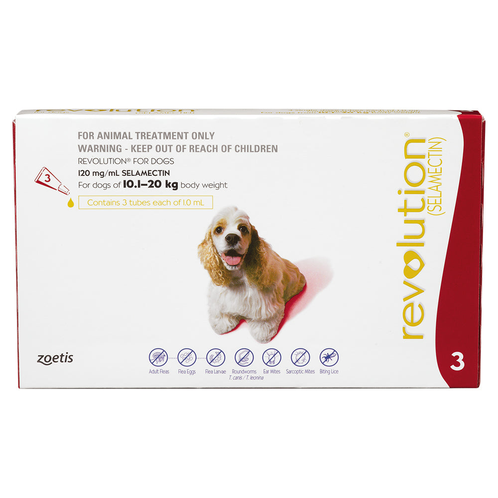 A white 3-pack box of Revolution flea treatment for medium dogs 10.1 to 20 kg, showing a cocker spaniel.