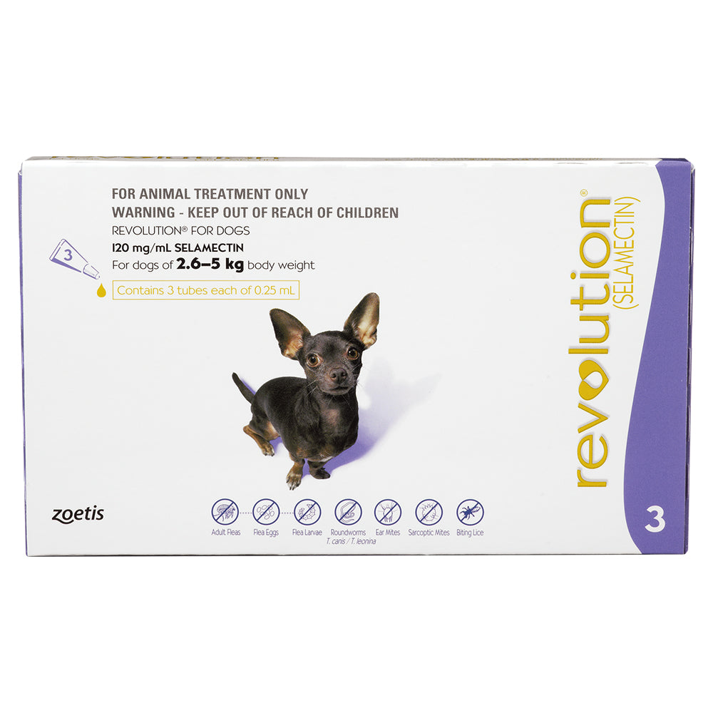 A white 3-pack box of Revolution flea treatment for extra-small dogs 2.6 to 5 kg, showing a small, black chihuahua.
