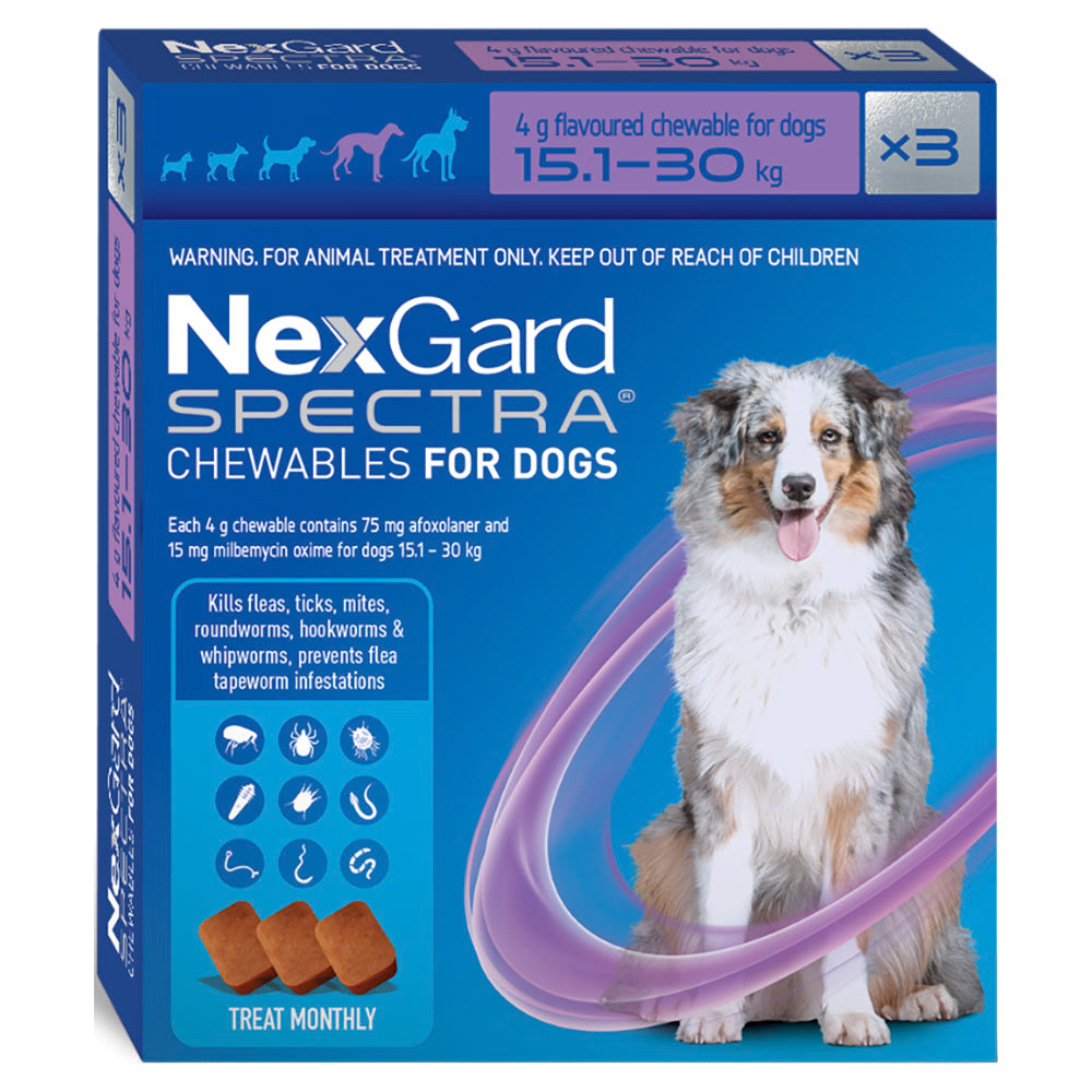 A blue 3-pack box of NexGard SPECTRA chewables for large dogs 15.1 to 30 kg, showing an Australian Shepherd.