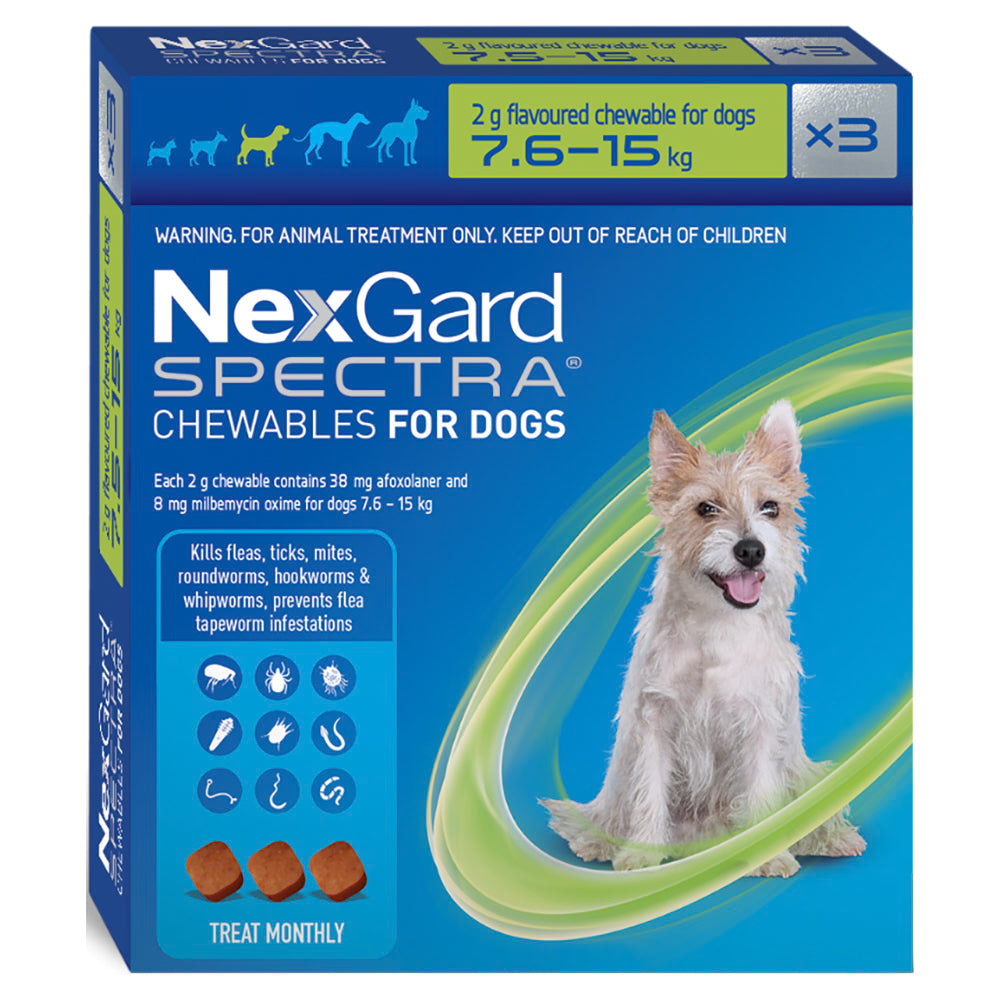 A blue 3-pack box of NexGard SPECTRA chewables for medium dogs 7.6 to 15 kg, showing a small white terrier.