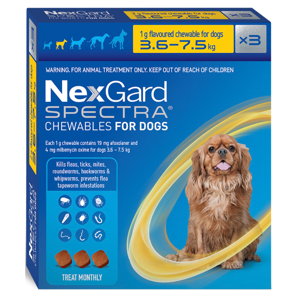 A blue 3-pack box of NexGard SPECTRA chewables for small dogs 3.6 to 7.5 kg, showing a Cavalier Spaniel.
