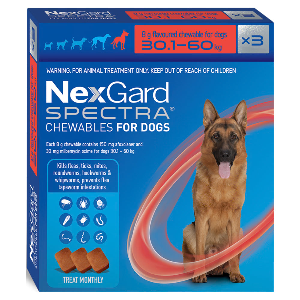 A blue 3-pack box of NexGard SPECTRA chewables for extra-large dogs 30.1 to 60 kg, showing a German Shepherd.