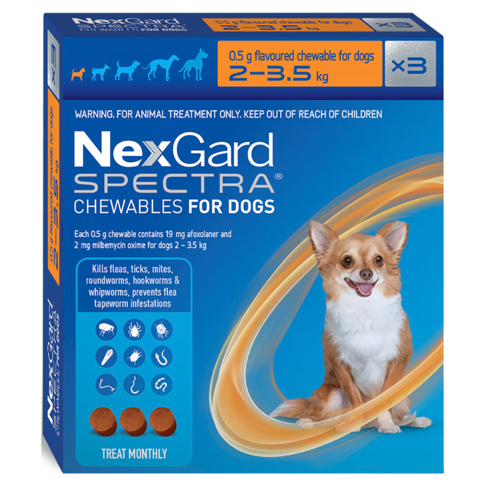 A blue 3-pack box of NexGard SPECTRA chewables for extra-small dogs 2 to 3.5 kg, with a photo of a chihuahua.